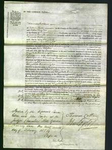 Court of Common Pleas - Elizabeth Cartwright-Original Ancestry