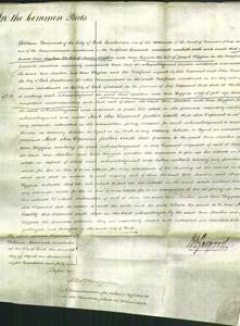 Court of Common Pleas - Ann Machen and Ann Wiggins-Original Ancestry