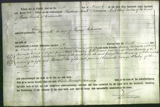 Court of Common Pleas - Clara Harriette Robinson-Original Ancestry