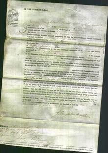 Court of Common Pleas - Isabella Penelope Powlett-Original Ancestry