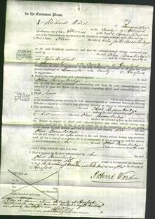 Court of Common Pleas - Olive Brambridge-Original Ancestry