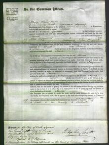 Court of Common Pleas - Anne Gordon-Original Ancestry