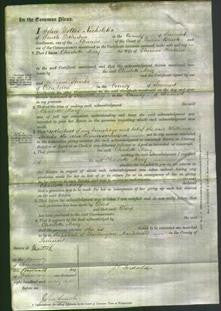 Court of Common Pleas - Charlotte Mary Hoskins-Original Ancestry