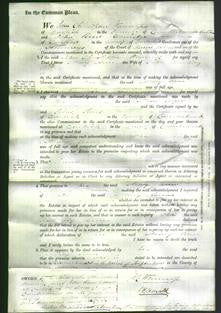 Court of Common Pleas - Mary Ann Armstrong-Original Ancestry