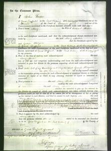 Court of Common Pleas - Mary Merkin-Original Ancestry