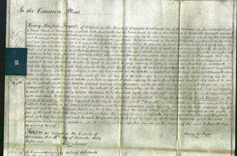 Court of Common Pleas - Sarah Mills-Original Ancestry