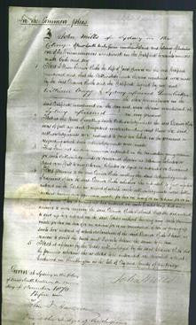 Court of Common Pleas - Eleanor Ruth Brown-Original Ancestry