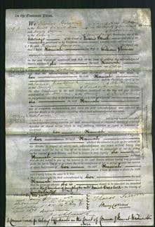 Court of Common Pleas - Hannah Palmer-Original Ancestry