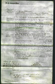 Court of Common Pleas - Lydia Jackson-Original Ancestry