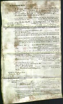 Court of Common Pleas - Eleanor Harriott Gibson-Original Ancestry