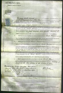 Court of Common Pleas - Sarah Hudson-Original Ancestry