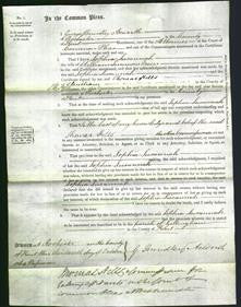 Court of Common Pleas - Sophia Susannah Meers-Original Ancestry