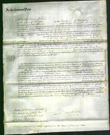 Court of Common Pleas - Mary Evans, Eliza Walters, Catherine Lewis-Original Ancestry