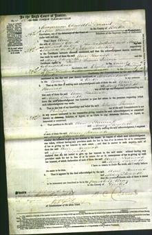 Court of Common Pleas - Ann Clark, Hannah Wilkins and Mary Elizabeth Mickley-Original Ancestry