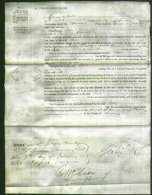 Court of Common Pleas - Jane Bonsey-Original Ancestry