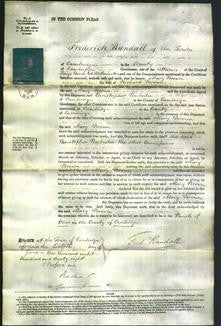 Court of Common Pleas - Mary Brown-Original Ancestry