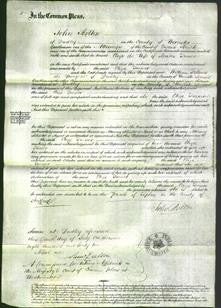 Court of Common Pleas - Eliza Turner-Original Ancestry