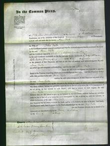 Court of Common Pleas - Ann Tribe-Original Ancestry