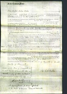 Court of Common Pleas - Emma Lewis-Original Ancestry