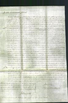 Court of Common Pleas - Elizabeth Holt-Original Ancestry