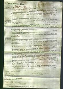 Court of Common Pleas - Jane Horton-Original Ancestry