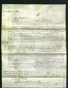 Court of Common Pleas - Sophia Mary Young-Original Ancestry