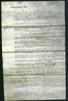 Court of Common Pleas - Jane Venus-Original Ancestry