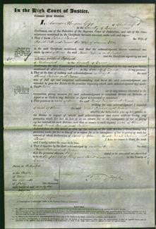 Court of Common Pleas - Sarah Sabrina Pitts and Susan Ellis-Original Ancestry