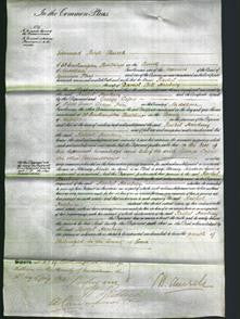 Court of Common Pleas - Rachel Hanbury-Original Ancestry