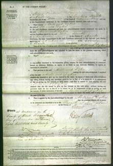 Court of Common Pleas - Millicent Dykes-Original Ancestry