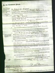 Court of Common Pleas - Leah Knowles-Original Ancestry