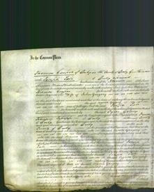 Court of Common Pleas - Agnes Gregory-Original Ancestry