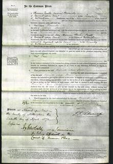 Court of Common Pleas - Harriette Anne Storer-Original Ancestry