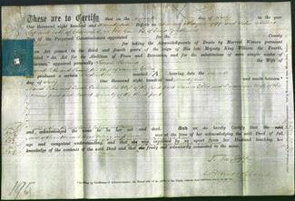 Deed by Married Women - Sarah Sabrina Pitts and Susan Ellis-Original Ancestry