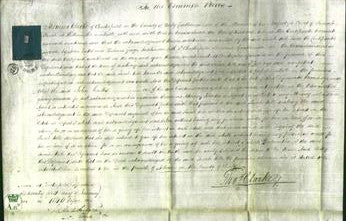 Court of Common Pleas - Sarah Hole-Original Ancestry
