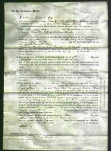 Court of Common Pleas - Mary Eliza Cressey and Emma Selina Woods-Original Ancestry