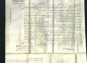 Court of Common Pleas - Elizabeth Lupton-Original Ancestry