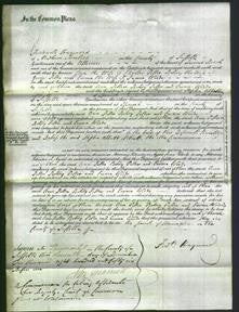 Court of Common Pleas - Ann Potter, Betsey Potter and Emma Woods-Original Ancestry