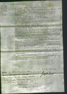 Court of Common Pleas - Hannah Sarah Withey-Original Ancestry