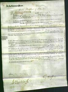 Court of Common Pleas - Mary Ann Taylor-Original Ancestry