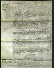 Court of Common Pleas - Sarah Sheil-Original Ancestry