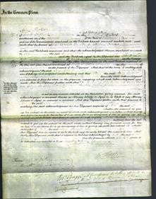 Court of Common Pleas - Jane Turner-Original Ancestry
