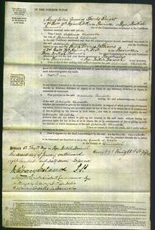 Court of Common Pleas - Adelaide Charlotte Colcough-Original Ancestry