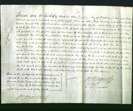 Deed by Married Women - Elizabeth Johnson-Original Ancestry