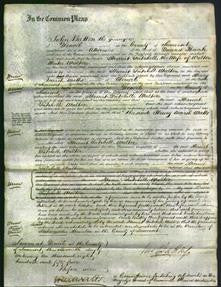 Court of Common Pleas - Harriet Tatchell Walter-Original Ancestry