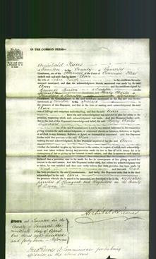 Court of Common Pleas - Ann Quick-Original Ancestry