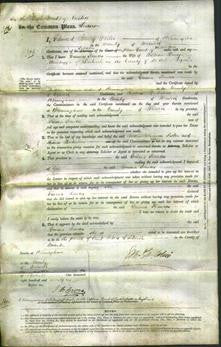 Court of Common Pleas - Emma Frances Bainbugge-Original Ancestry