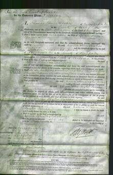 Court of Common Pleas - Emma Ellen Taylor Turner-Original Ancestry