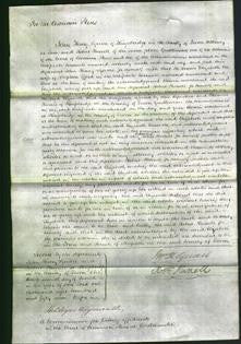 Court of Common Pleas - Elizabeth Efford-Original Ancestry