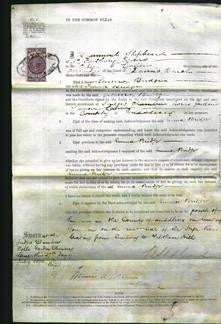 Court of Common Pleas - Emma Bridge-Original Ancestry